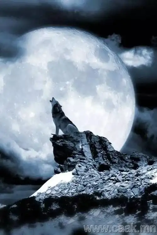 蒙古图片100张关于现代蒙古生活的趣图