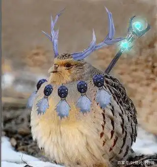 魔兽世界tbc怀旧服鸟德p3装备搭配分享(4t5跟4t6比哪个更强呢?