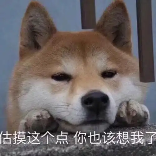 有没有那种适合给女朋友发的小表情包