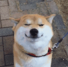 什么操作?定制橱柜只要6666?昆山欧派又有大动作.