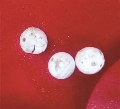 东山僧尼释道正师父圆寂 法体火化时现3颗舍利子