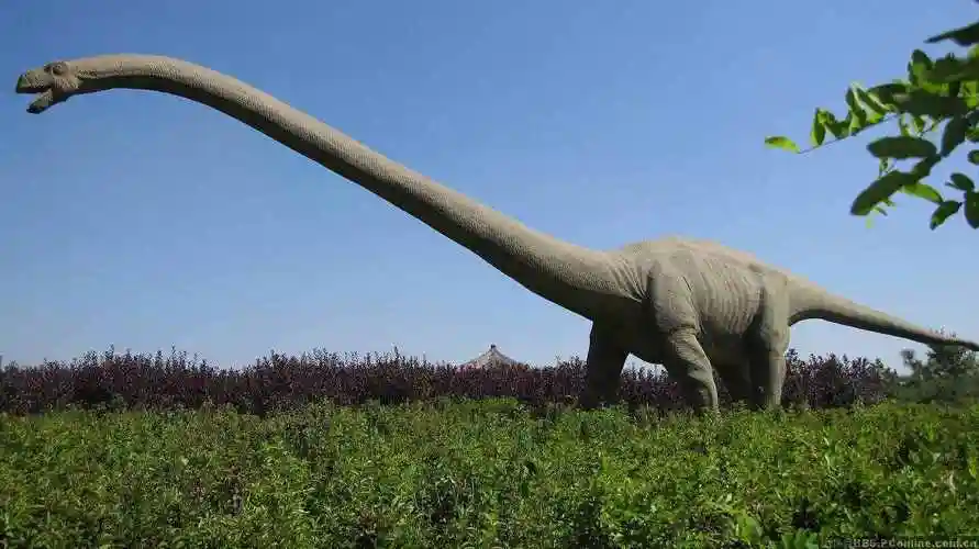 恐龙为什么那么大恐龙其实没有灭绝