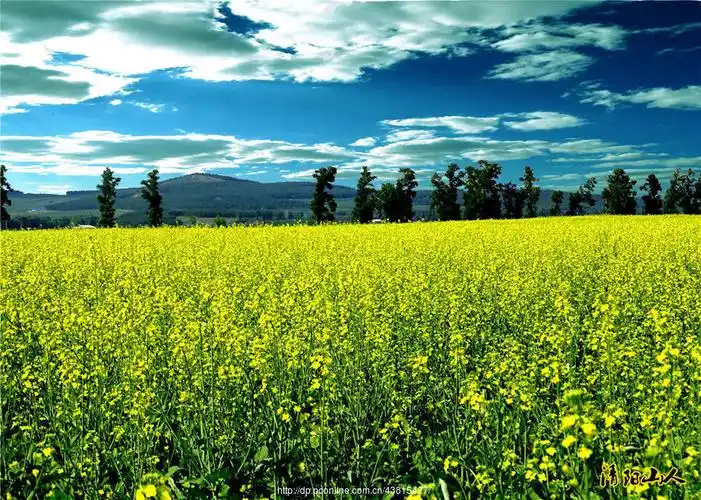 宝清县风景【家乡景色4】清阳山人