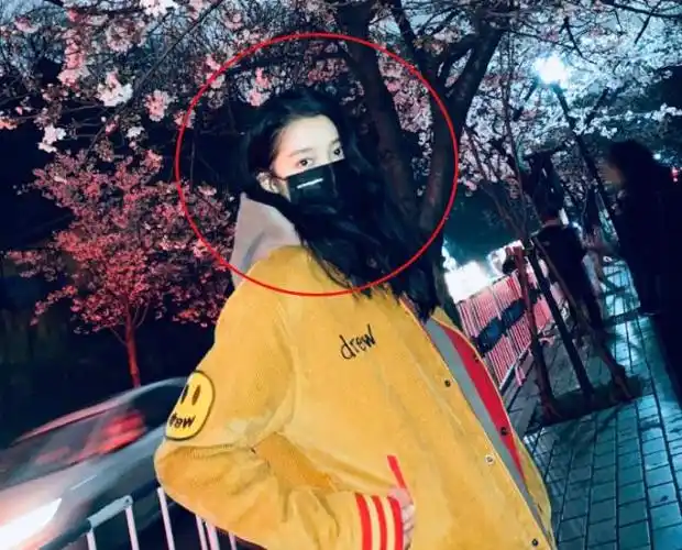 关晓彤深夜晒背影照独自站在樱花树下看着路过的情侣一脸向往