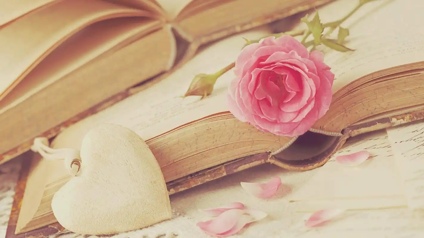 书香一瓣唯美温馨高清壁纸
