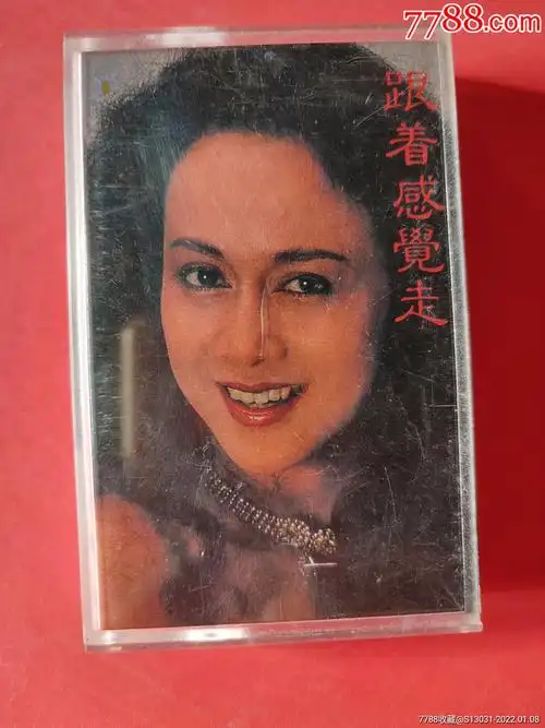 跟着感觉走菲菲主唱