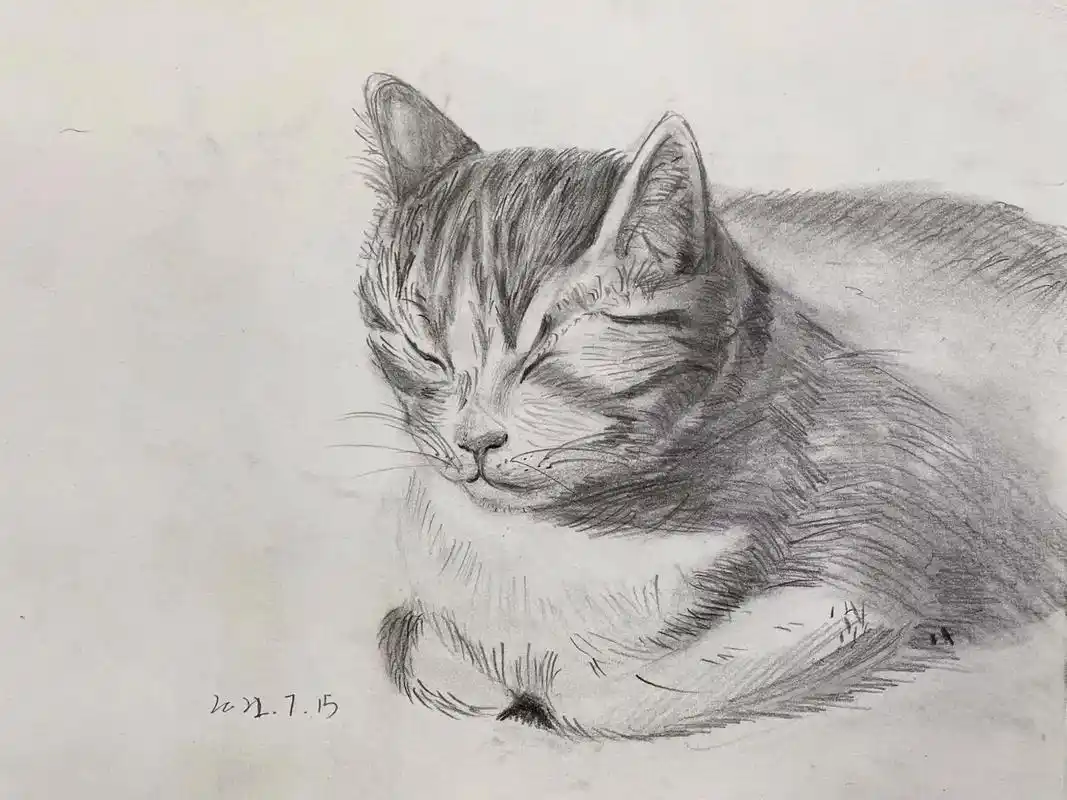 【造型②班】儿童创意素描1. 通过临摹造型可爱的公仔,动漫 - 抖音