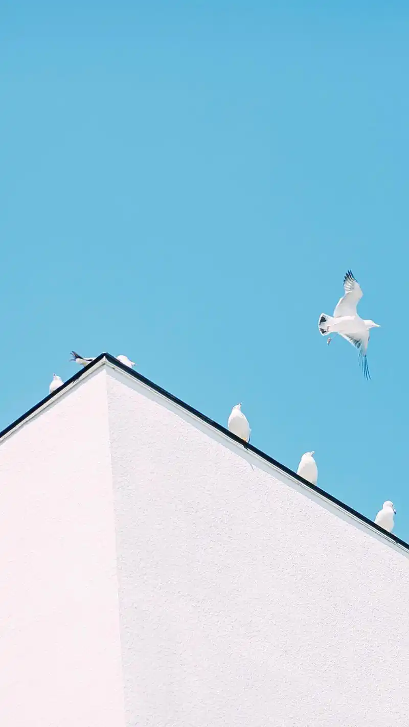 小清新高清唯美风景手机壁纸图片