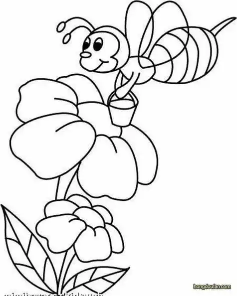 春天植物和动物的变化简笔画