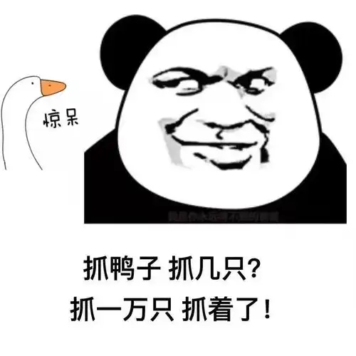 抓鸭子抓几只表情包