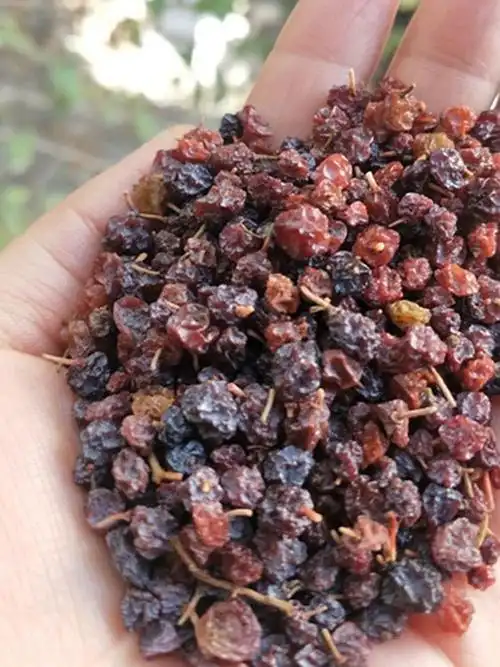 新疆特产稀有野生梭梭葡萄干