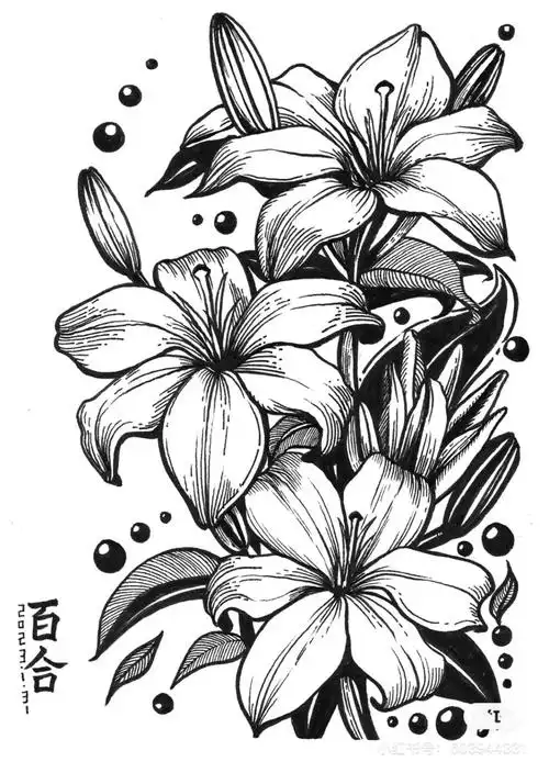 针管笔装饰线描,锻炼线条,黑白灰关系,效果完成后,每一张都能让你尖叫