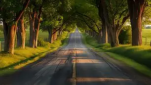 两旁绿树环绕的乡间小路乡村风光场景摄影图