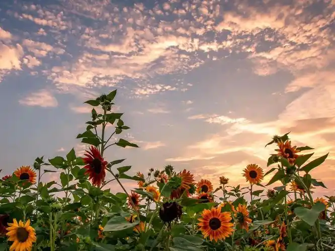 积极的生活态度的美丽句子对待生活正能量的句子