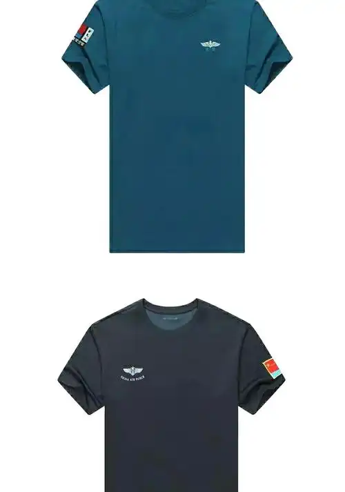 正品空军飞行员t恤 男式圆领短袖t恤 男士纯色棉t恤