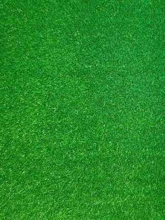 绿色草坪植物 i>背 /i> i>景 /i> i> i> i>素 /i> /i> /i> i> i> i>材