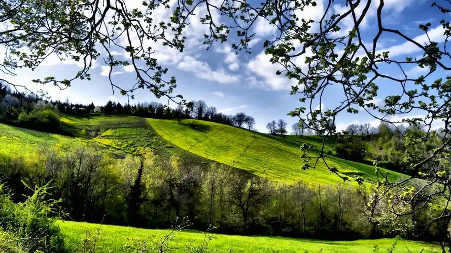 首页 自然和风景 春天