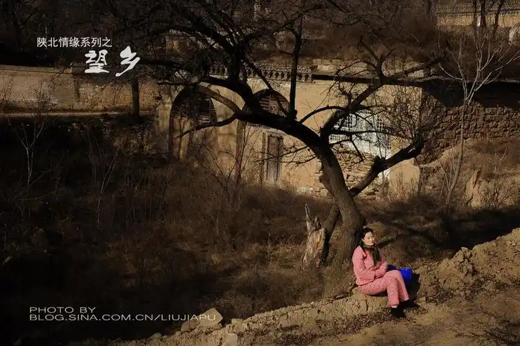 陕北情缘系列之一《望乡》