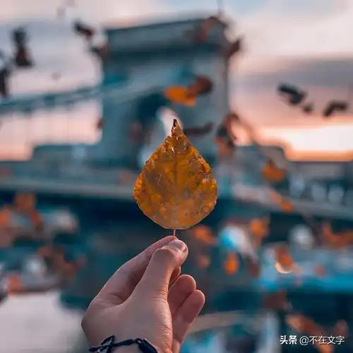 富有哲理的人生箴言句句有内涵读懂受益匪浅