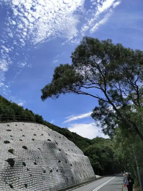 行走香港郊野公园系列: 清水湾郊野公园