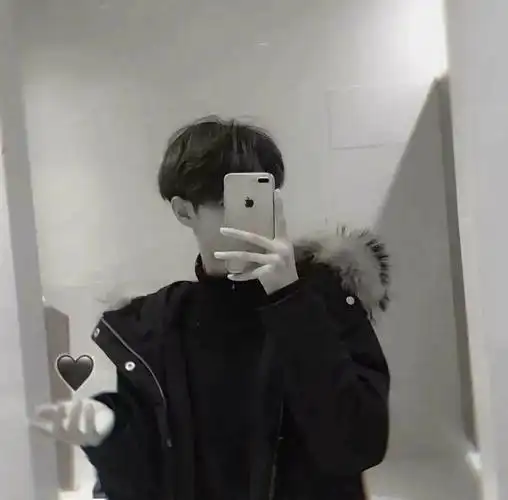 手机对镜自拍挡脸头像