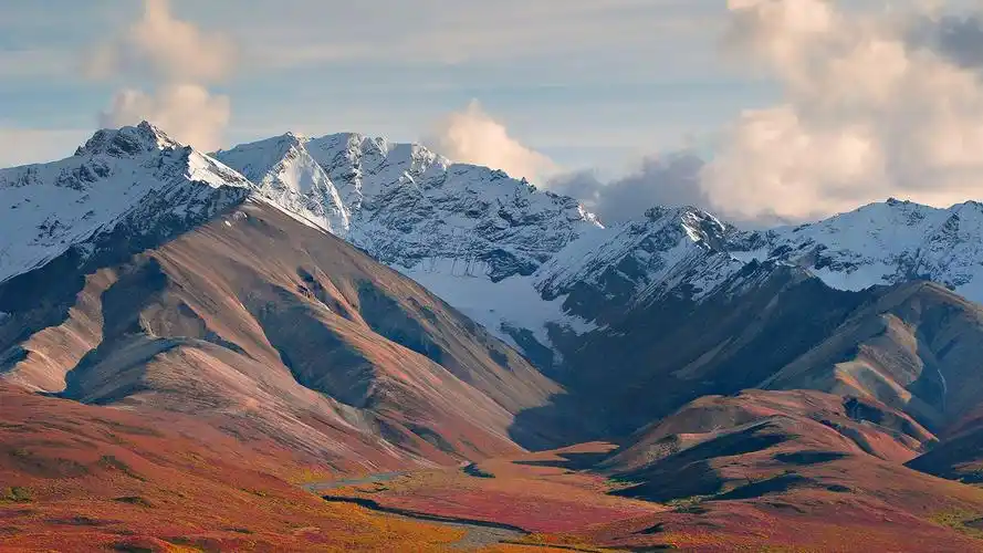 denali national park 丹那利国家公园 高清风景壁纸15 - 1366x768