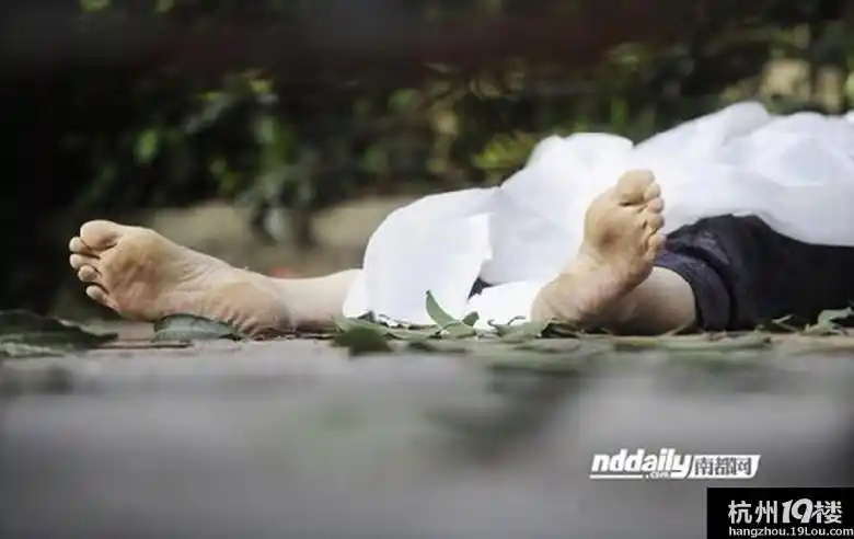 广州女子爬高摘路边芒果树枝折断落下摔死