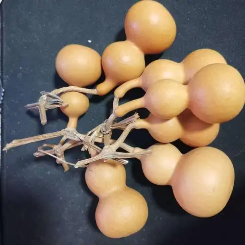 天津嘴天然葫芦文玩把玩精品小葫芦