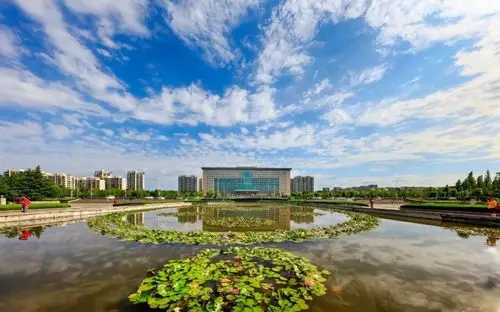 惊艳把莱西做成手机壁纸竟是出奇的好看