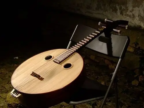 中国传统乐器中阮非琴不是筝初闻满座惊