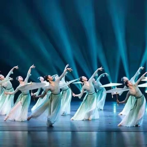 古典舞蹈服练功服女雨涧春行图飘逸大裙摆伞舞扇子舞服装中国风