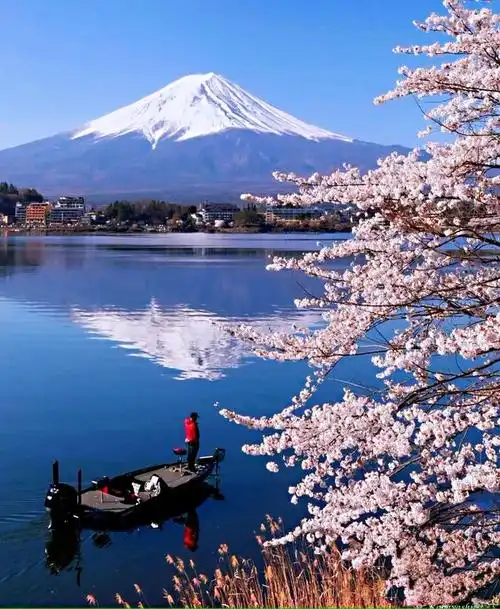 2021年写给春天的句子,唯美温柔,一见倾心