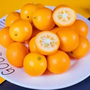 新鲜小金桔水果现摘麻皮黄皮金橘小果大果广西桂林非融安滑皮脆皮