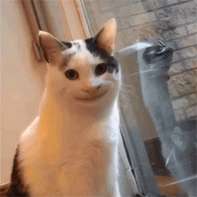 300_300gif 动态图 动图