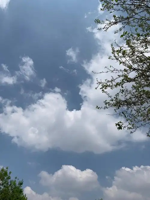 有哪些好看的背景图