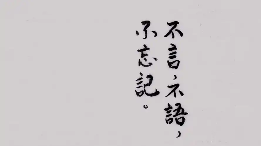 渐渐的,很多事记在心里, 不言,不语,不忘记.