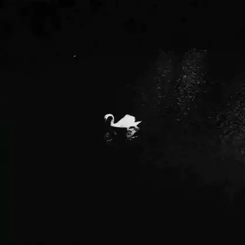 干净个性的微信相册封面