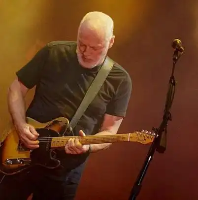 世界十大著名的吉他大师-吉米·亨德里克斯上榜(最伟大的电吉他演奏者