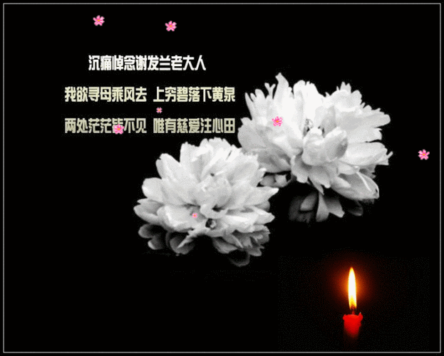 沉痛悼念母亲文章