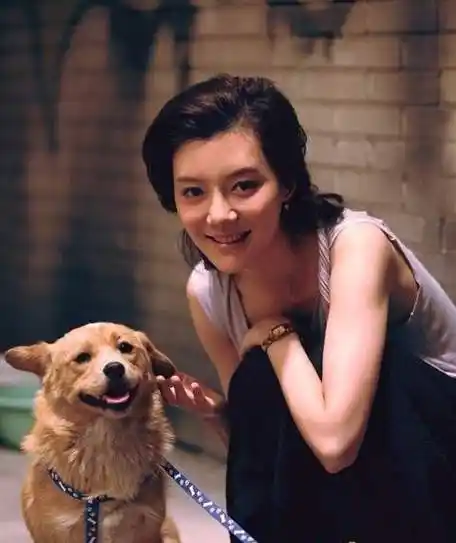 车晓《男大当婚》剧照 车晓个人资料