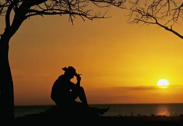 今天晚霞温柔,风也醉人4.愿爱如晚霞,渐晚渐浓5.
