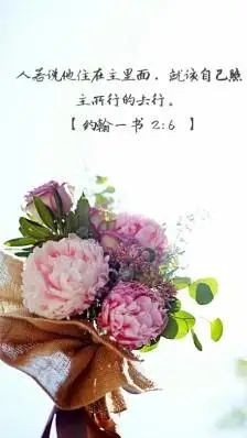 基督教 圣经 经文手机壁纸