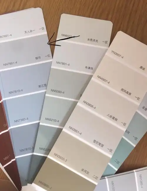 立邦漆色卡银币