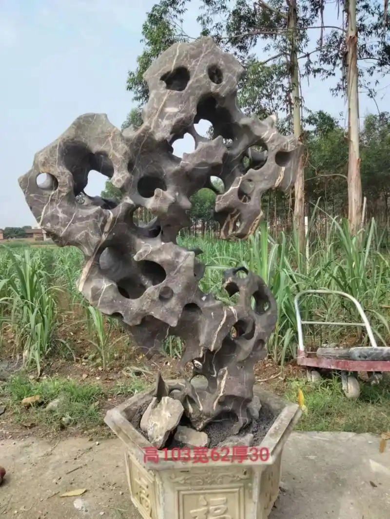 1米左右太湖石,图1很美 #庭院设计# #景观石# #太湖石