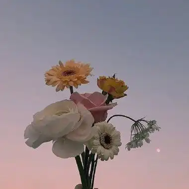 鲜花头像图片大全 花束高清好看的头像 - 微信头像 - 潮人个性网