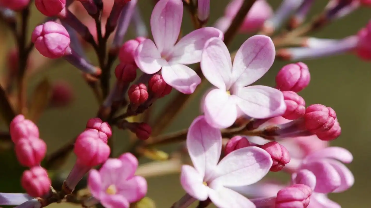 分享:                                   绿色的世界充满希望 ――