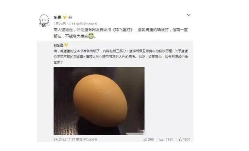 乐嘉蛋碎事件视频碎了一个蛋蛋是怎么回事