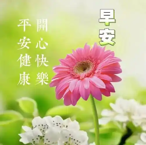 5月6日周六早上好,精选早安暖心祝福图片带字精选问候祝福语!