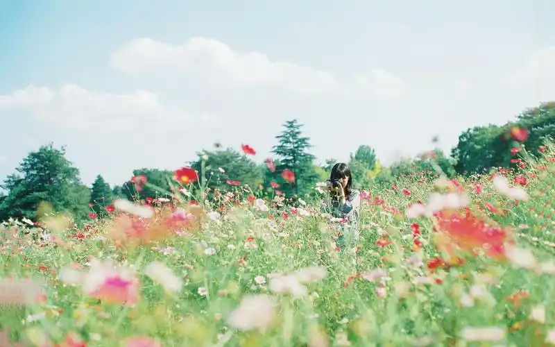 女孩,草地,花海,花朵,盛开,日系,天空,turquoiseacco女孩壁纸图片