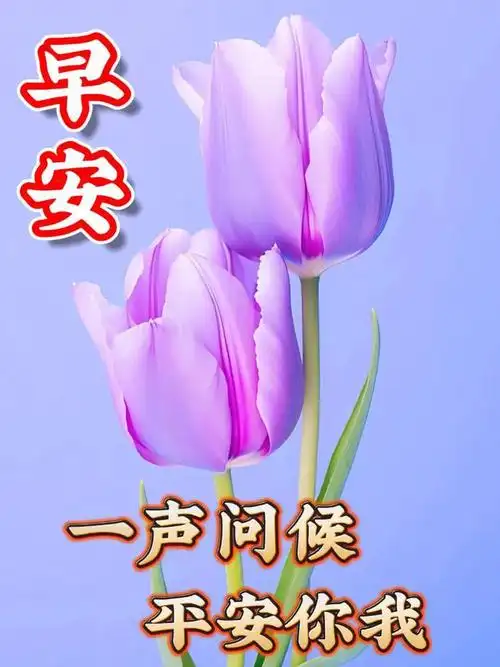 问候祝福图片,微信最美的早安祝福表情祝福语|快乐|清晨|晨曦|幸福